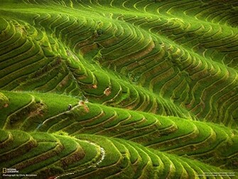 National Geographic HD Wallpaper Web Design