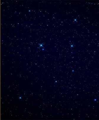 HD Wallpaper Starry Night Sky Forest X Kb Jpeg