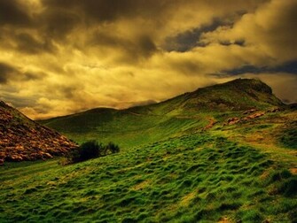 Nature Wallpaper Yellow Green Beauty
