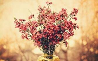 Flower Bouquet Wallpaper Image Photos Pictures Background
