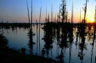 Scenery Louisiana Department Of Wildlife And Fisheries