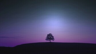 Violet HD Wallpaper High Definition Quality