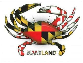 Maryland Flag Design Ladies