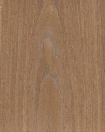 Wood Wallcoverings Are Real Timber Veneer Harvested