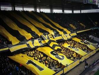 Bsc Young Boys Wallpaper X Net