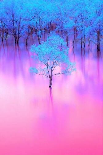 Background Beautiful Beauty Blue Heart Image