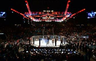Wallpaper Mma Ufc Cage Image For Desktop Section