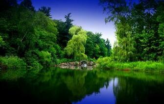 Zen Garden By Pueang