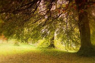 Autumn Walk Stock Photos Rgbstock Image Gramps