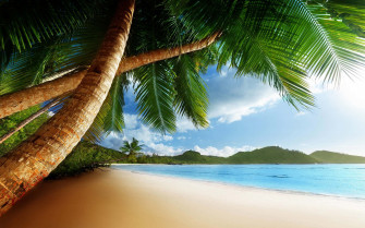 Caribbean Beach Wallpaper