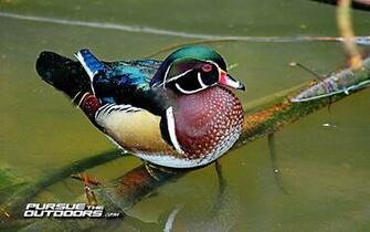 Desktop Wallpaper Hunting Fishing Wildlife And Nature