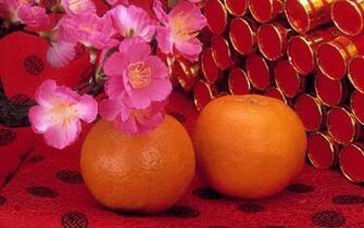 Happy Chinese New Year Photos Wallpaper High Definition