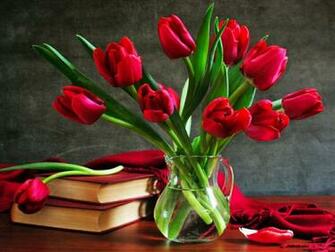 Flowers For Flower Lovers Wallpaper HD Rose Desktop