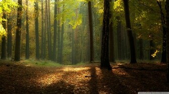 Serene Autumn Landscape Wallpaper MixHD