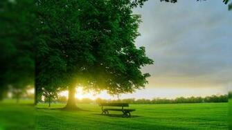 Windows Nature Wallpaper