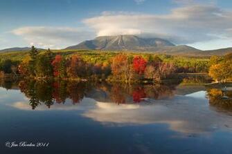 Jj Wildlife Photography More Maine Moose And Scenery
