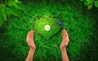 HD Wallpaper 1080p Nature Love Mobile