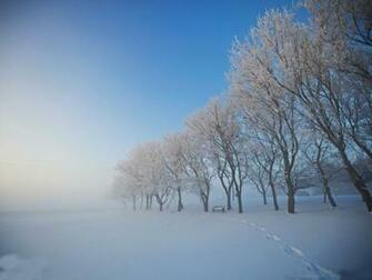 Winter HD Wallpaper Pictures Image Background Photos