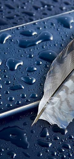 iPhone Apple Feather Smartphone Wallpaper