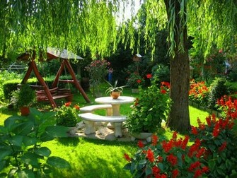 Nature At Home Wallpaper HD
