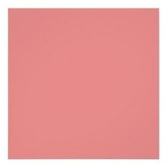 Plain Coral Pink Background Poster