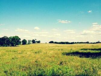 Open Field By Yamogogy