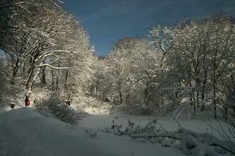 Winter Wonderland Traveler Photo Contest National Geographic