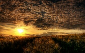 Summer HD Widescreen Wallpaper