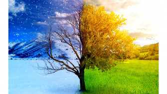 Winter To Spring 4k Wallpaper