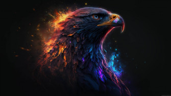 Eagle Wallpaper Image American Bald