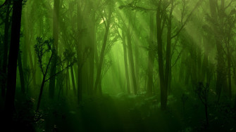 Nature Wallpaper Pack