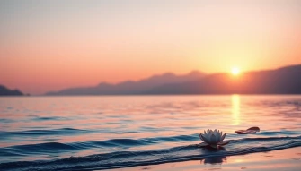 Meditation Wallpaper
