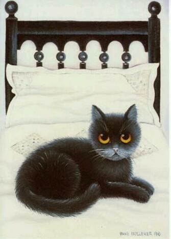 Best Cute Cat Pictures Image Art