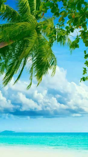 If You Are Ing Wallpaper On Computer Can Easily
