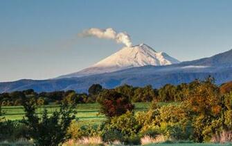 Popocat Petl HD Wallpaper Background Image Id