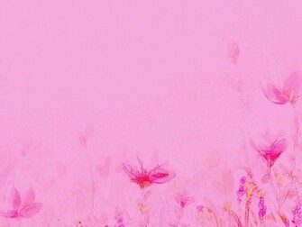 Light Pink Flower Wallpaper Summer