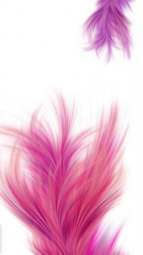 Fluffy Feathers HD Wallpaper Image