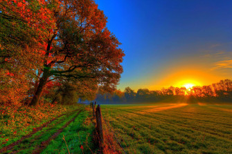 Fall Wallpaper