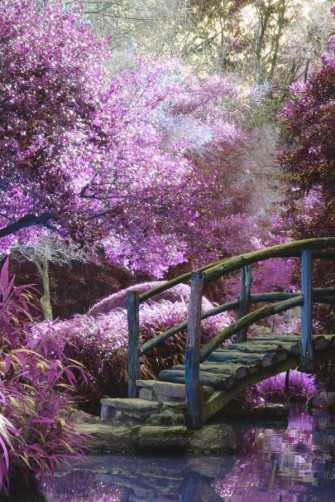 Elevate Your iPhone With The Best Cottagecore Aesthetic Wallpaper
