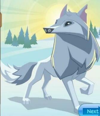 Animal Jam Arctic Wolf Wallpaper Artic Wolves