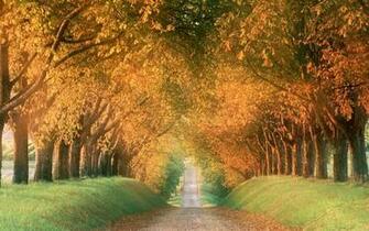 Best Desktop HD Wallpaper Autumn