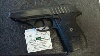 Sig P232 Blue Cheap