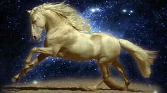 Horses Wallpaper 3d HD