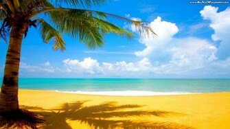 Beach 3d Wallpaper Cool Walldiskpaper