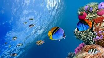Ocean Wallpaper High Definition Quality Widescreen