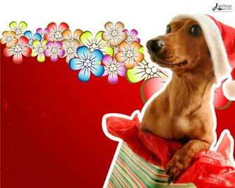 Christmas Funny Wallpaper Pictures To Pin