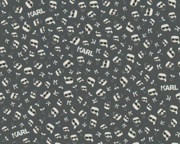 Karl Lagerfeld Wallpaper Ireland Dublin