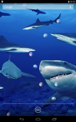 Angry Shark Live Wallpaper Screenshot