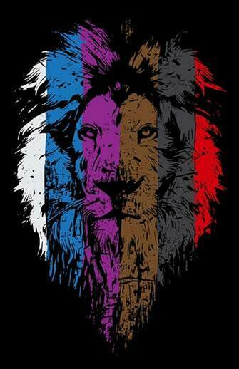 Amazon Damdekoli Lion Jiu Jitsu Poster Inches