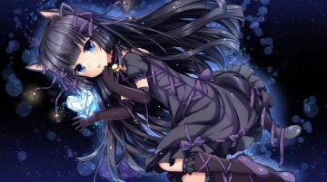 Anime Cat Wallpaper Flash Sales Off Ingeniovirtual